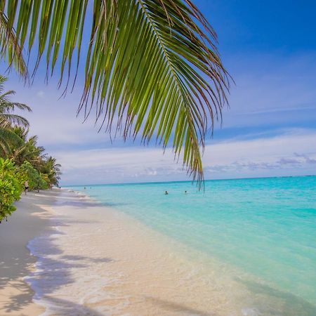 Jeym Lodge Thoddoo Bagian luar foto