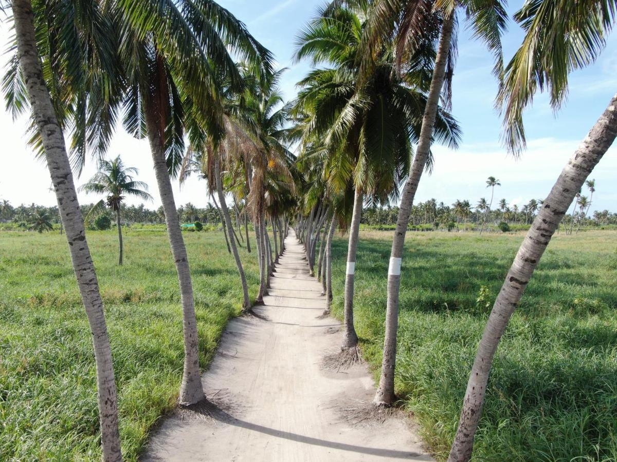 Jeym Lodge Thoddoo Bagian luar foto